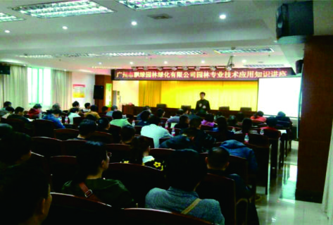 名木古樹保護,搶救復(fù)壯,遷移,古樹資源普查